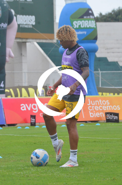 FBL-LIGAPRO-ORENSE-DELFIN