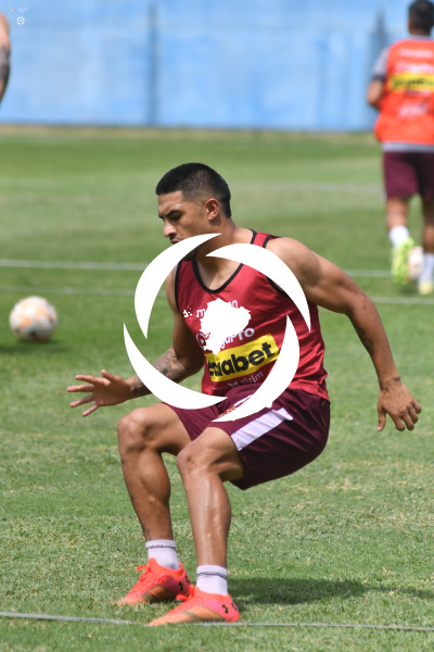 FBL-LIGAPRO-MANTA-VINO TINTO