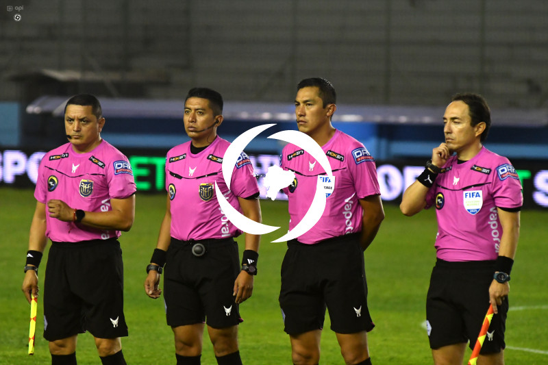 FBL-LIGAPRO-DELFIN-VINO TINTO
