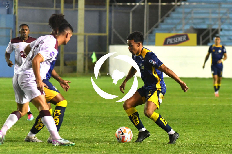 FBL-LIGAPRO-DELFIN-VINO TINTO
