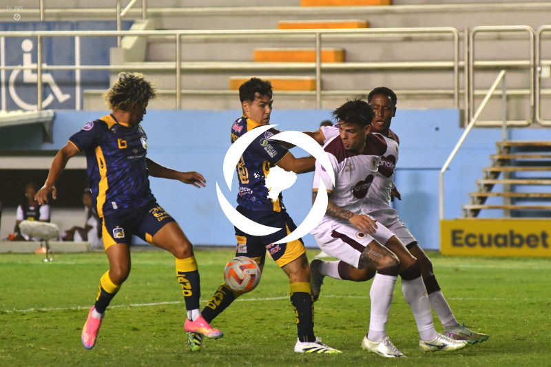 FBL-LIGAPRO-DELFIN-VINO TINTO