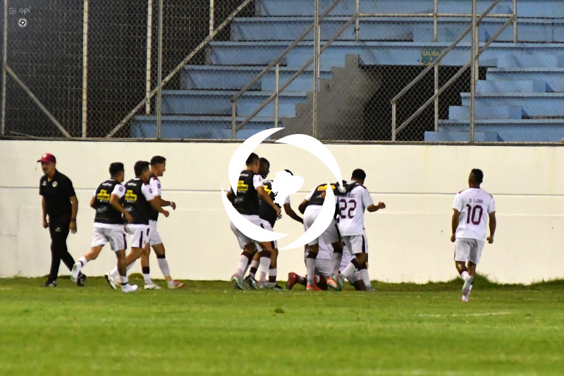 FBL-LIGAPRO-DELFIN-VINO TINTO