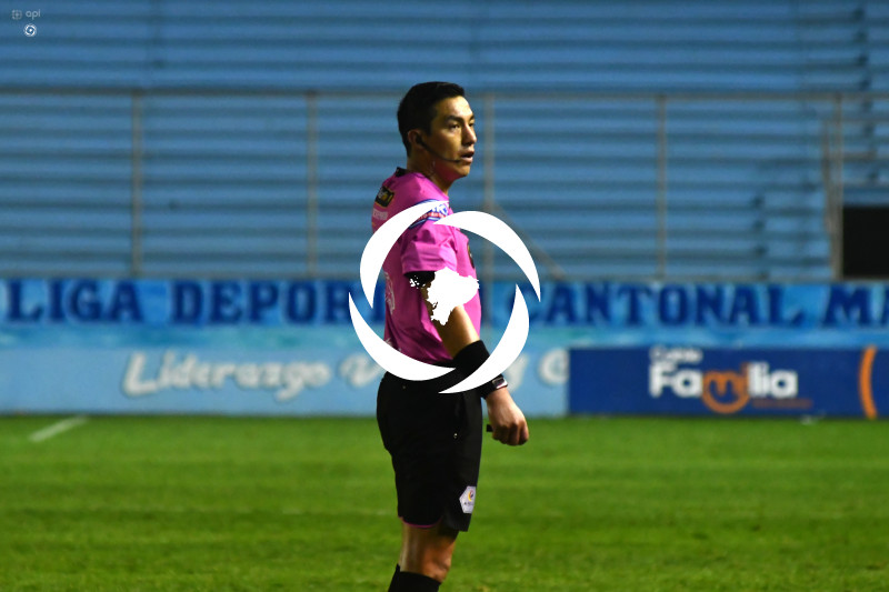 FBL-LIGAPRO-DELFIN-VINO TINTO