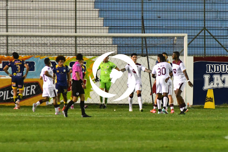 FBL-LIGAPRO-DELFIN-VINO TINTO