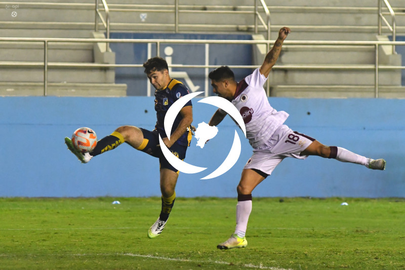 FBL-LIGAPRO-DELFIN-VINO TINTO