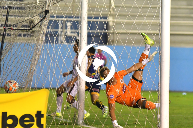 FBL-LIGAPRO-DELFIN-VINO TINTO