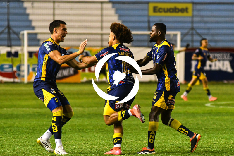 FBL-LIGAPRO-DELFIN-VINO TINTO