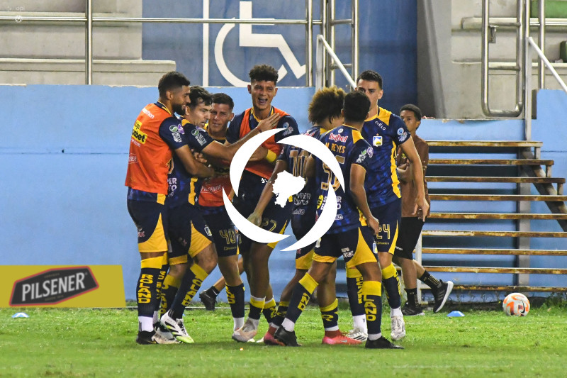 FBL-LIGAPRO-DELFIN-VINO TINTO
