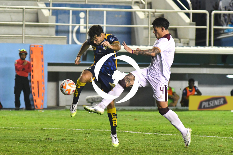 FBL-LIGAPRO-DELFIN-VINO TINTO