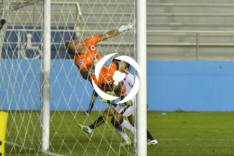 FBL-LIGAPRO-DELFIN-VINO TINTO